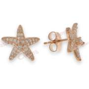 Σκουλαρίκια ασημένια επιπλατινωμένα σε ροζ χρυσό με σχέδιο αστερία και άσπρες πέτρες ζιργκόν